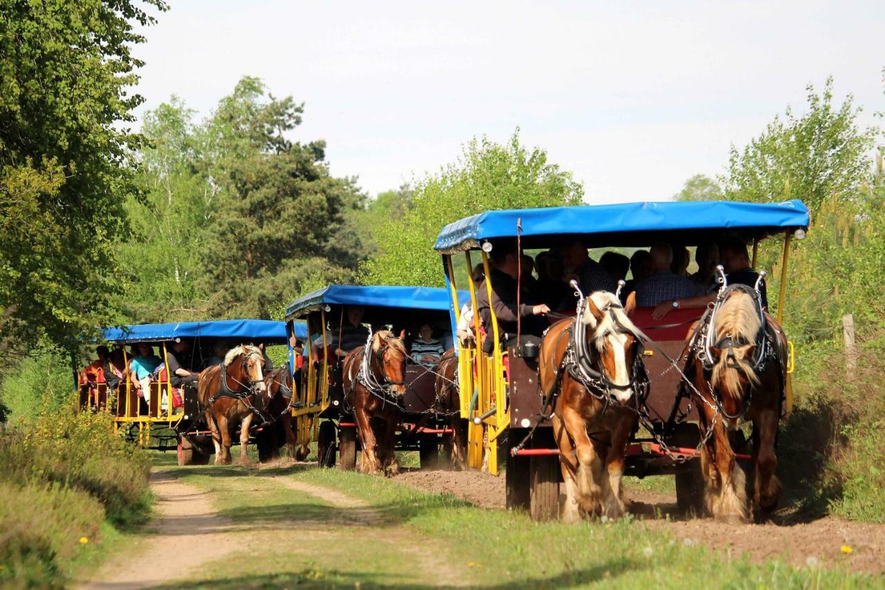 Landhotel Hof Barrl Шнефердинген Экстерьер фото